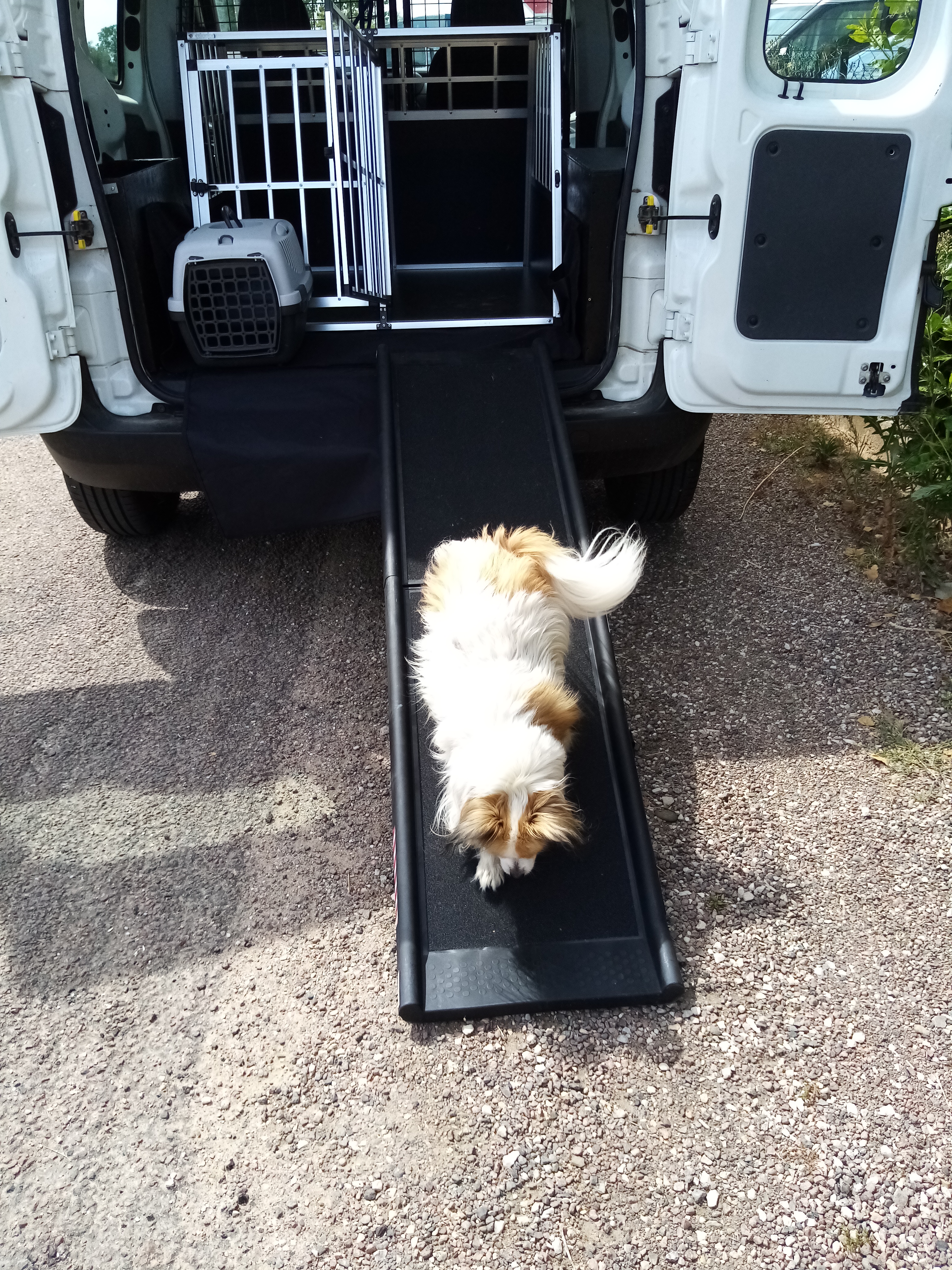 Chouquette pour la démonstration