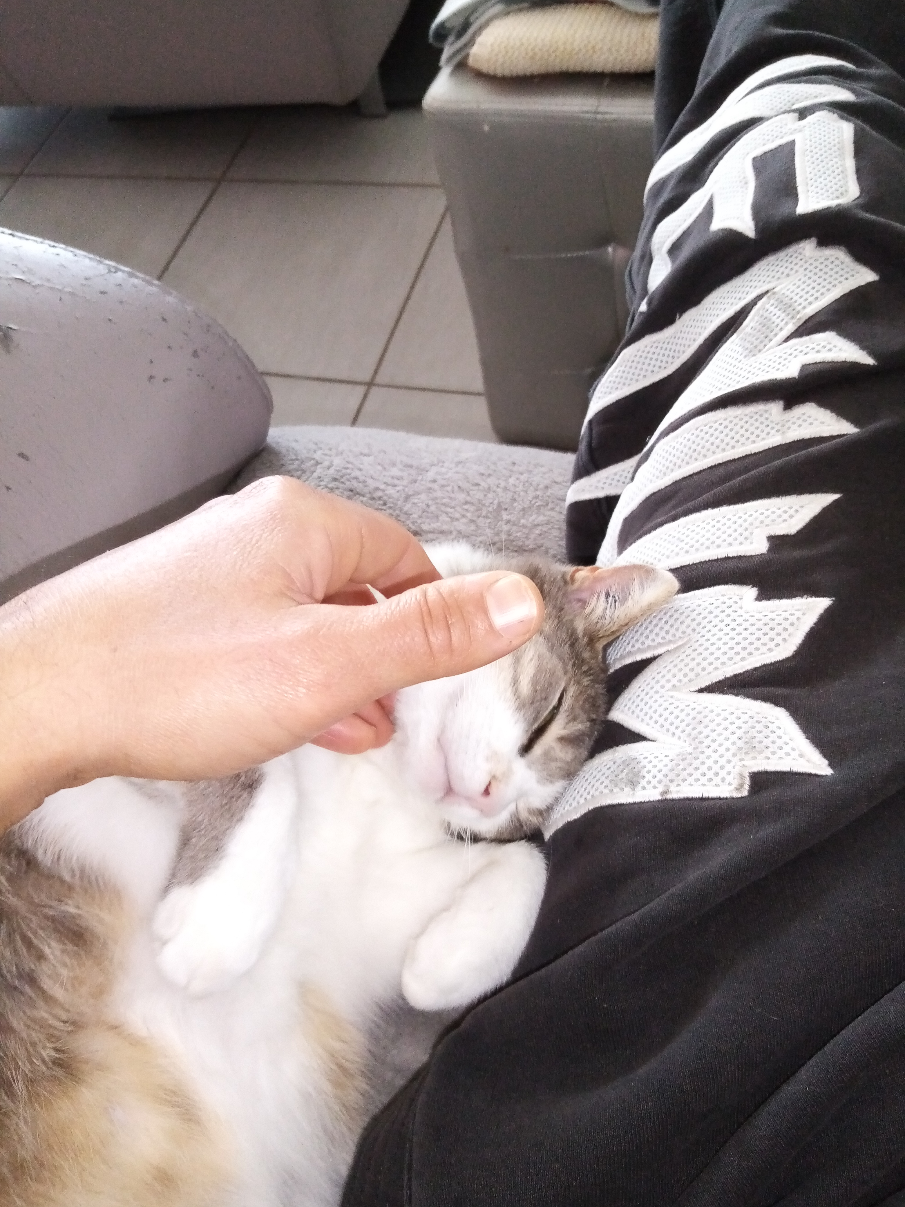 Cannelle la mascotte