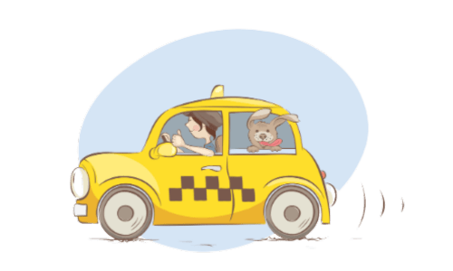 Taxi animalier
